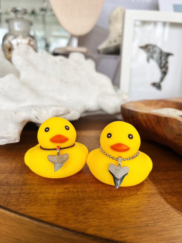 Shark Tooth Ducks