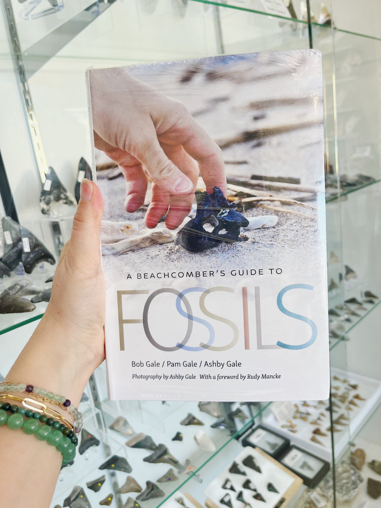 Shark-and-Fossil-Books-and-ID-Cards