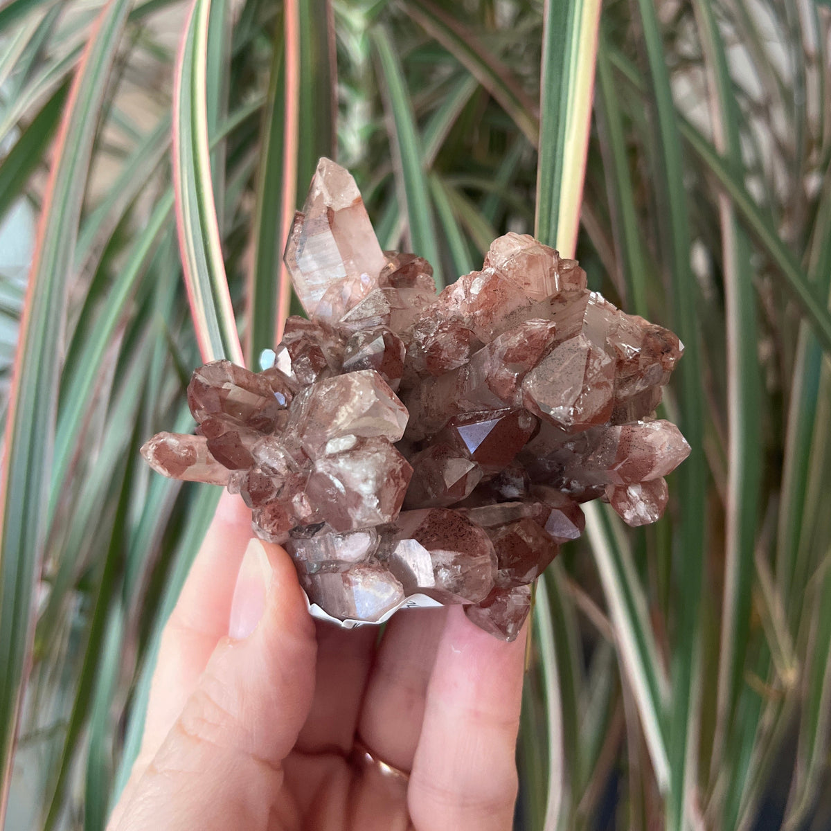 Red Hematite Quartz