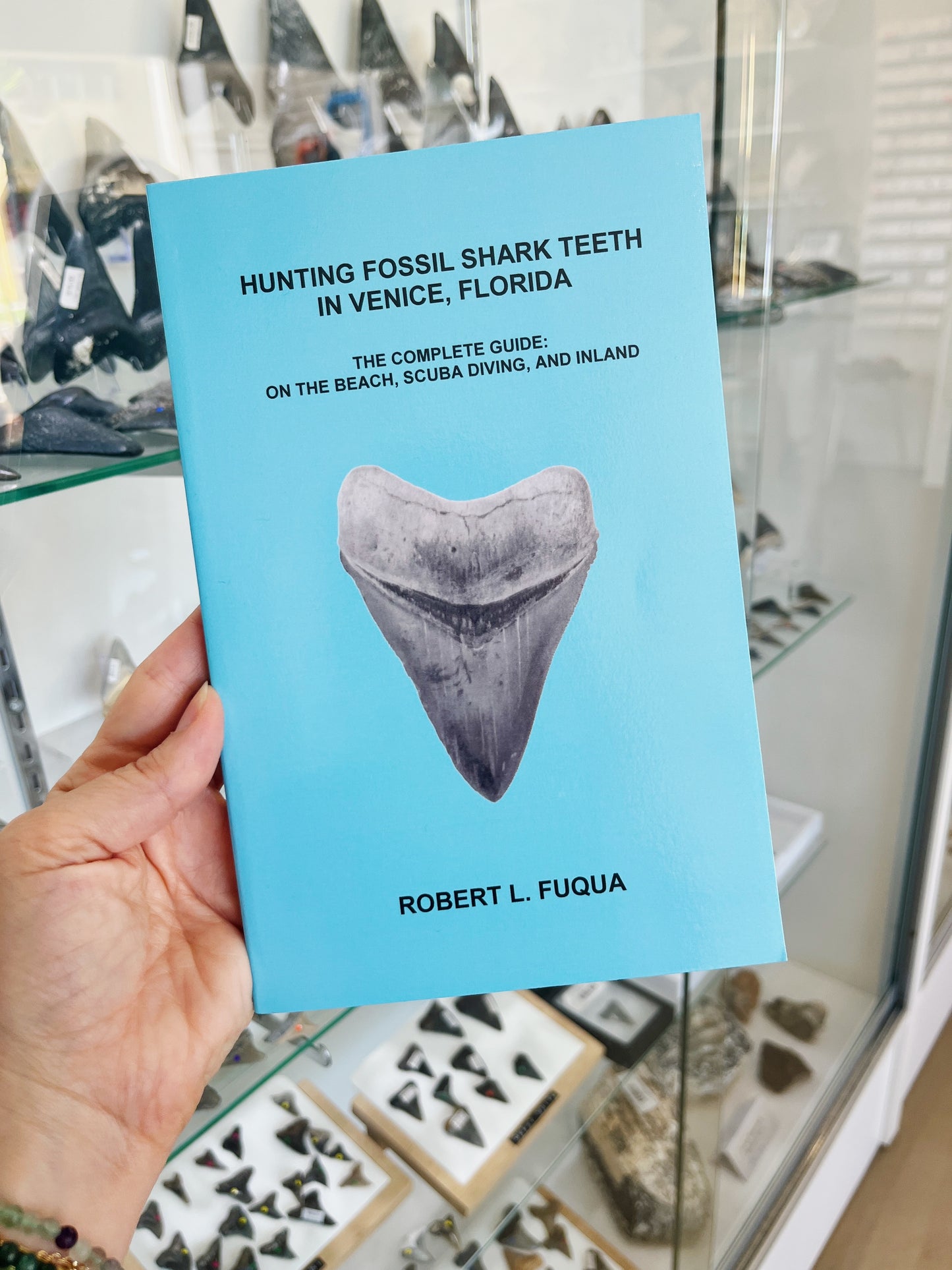 Hunting Fossil Shark Teeth in Venice, FL: Signed by the Author