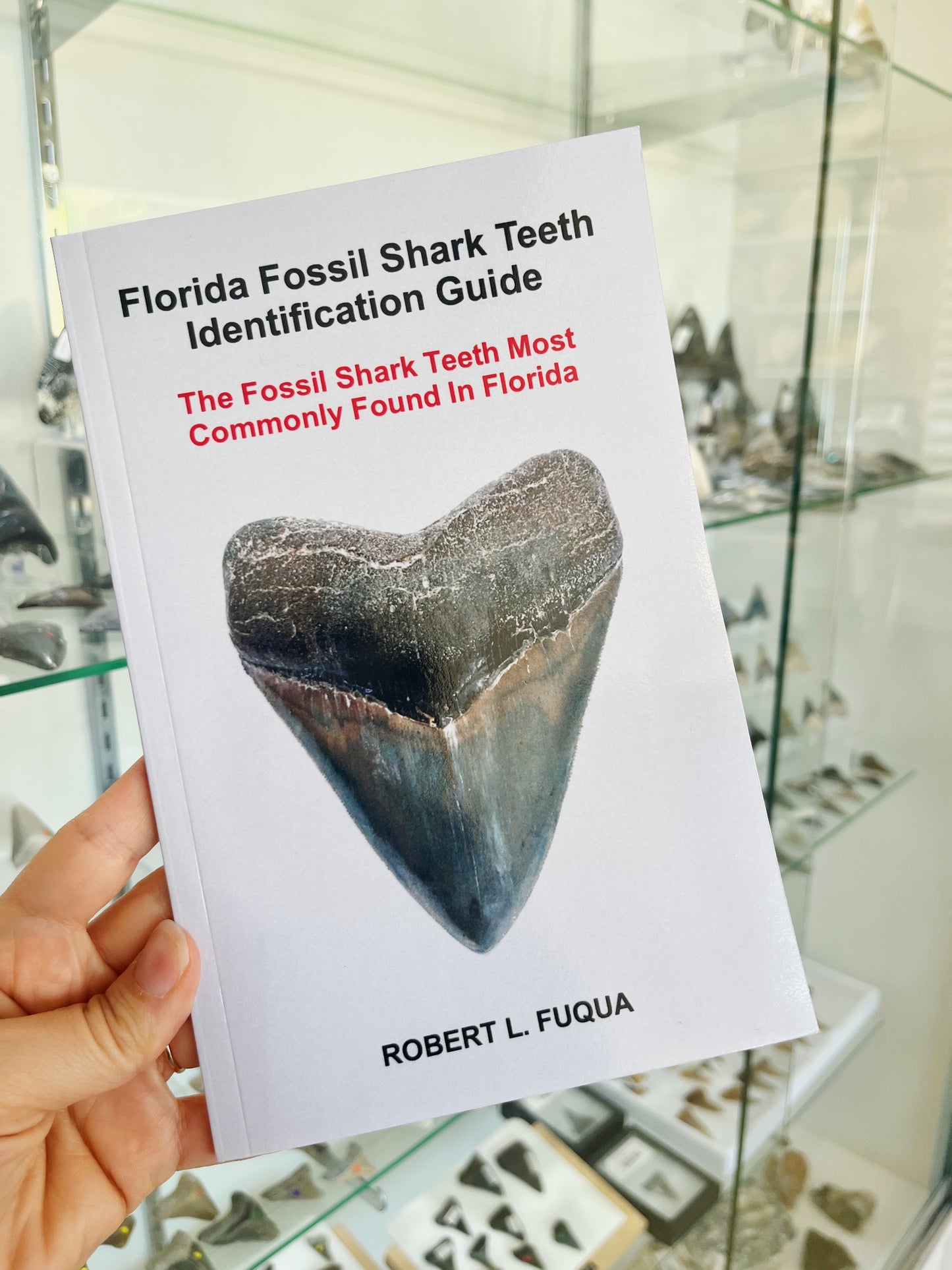 Florida Fossil Shark Teeth ID Guide: Signed by the Author