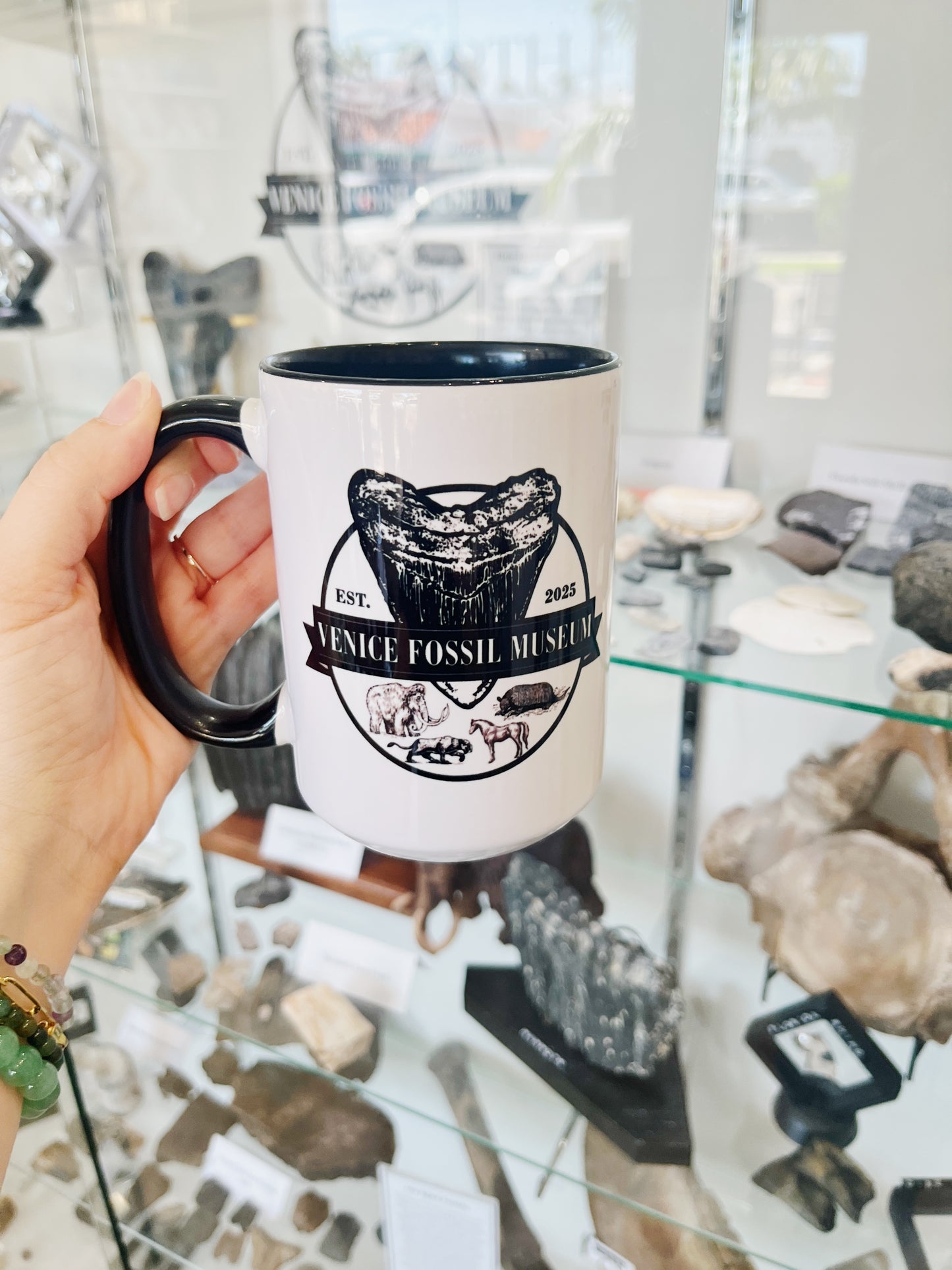 Venice Fossil Museum Mug