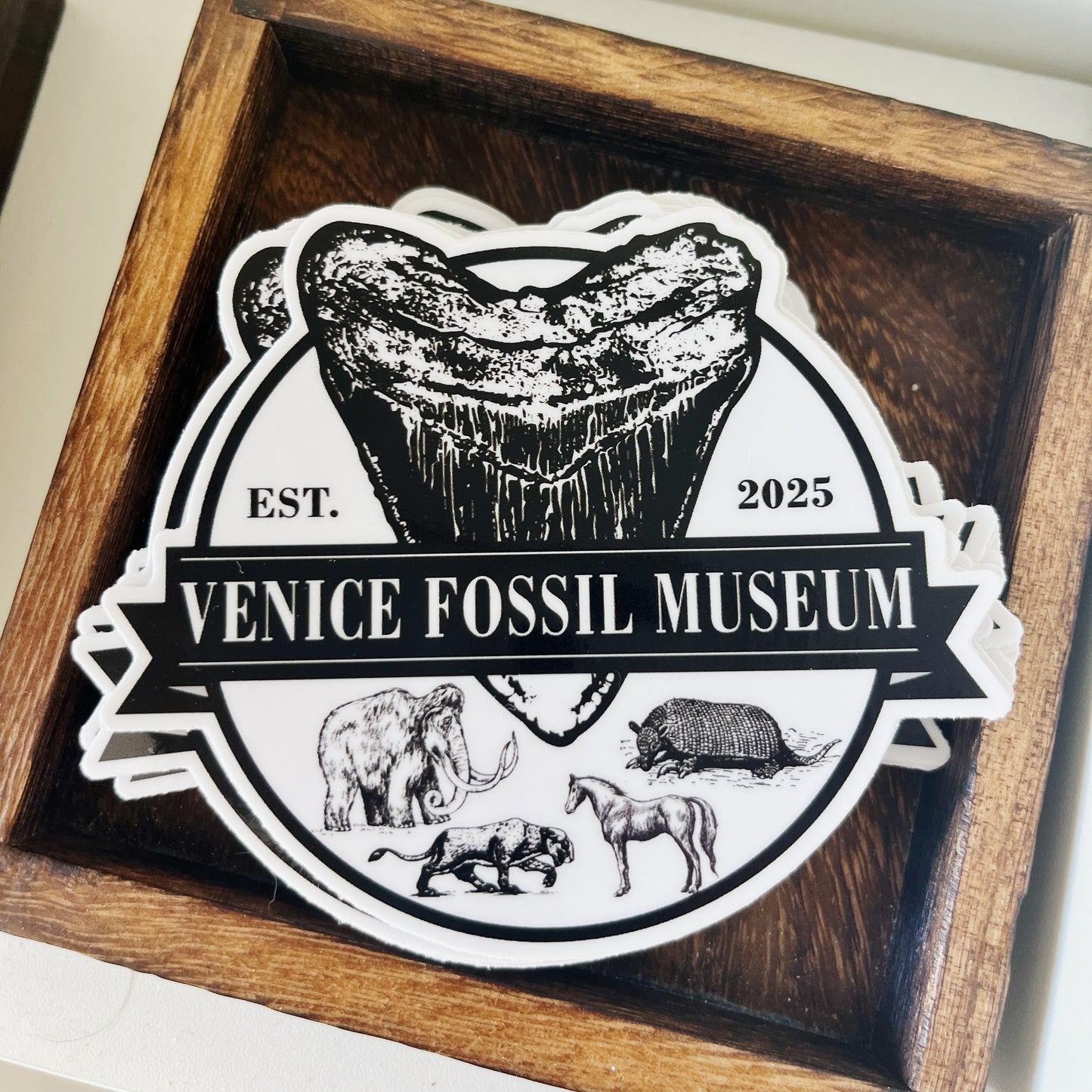 Venice Fossil Museum Sticker