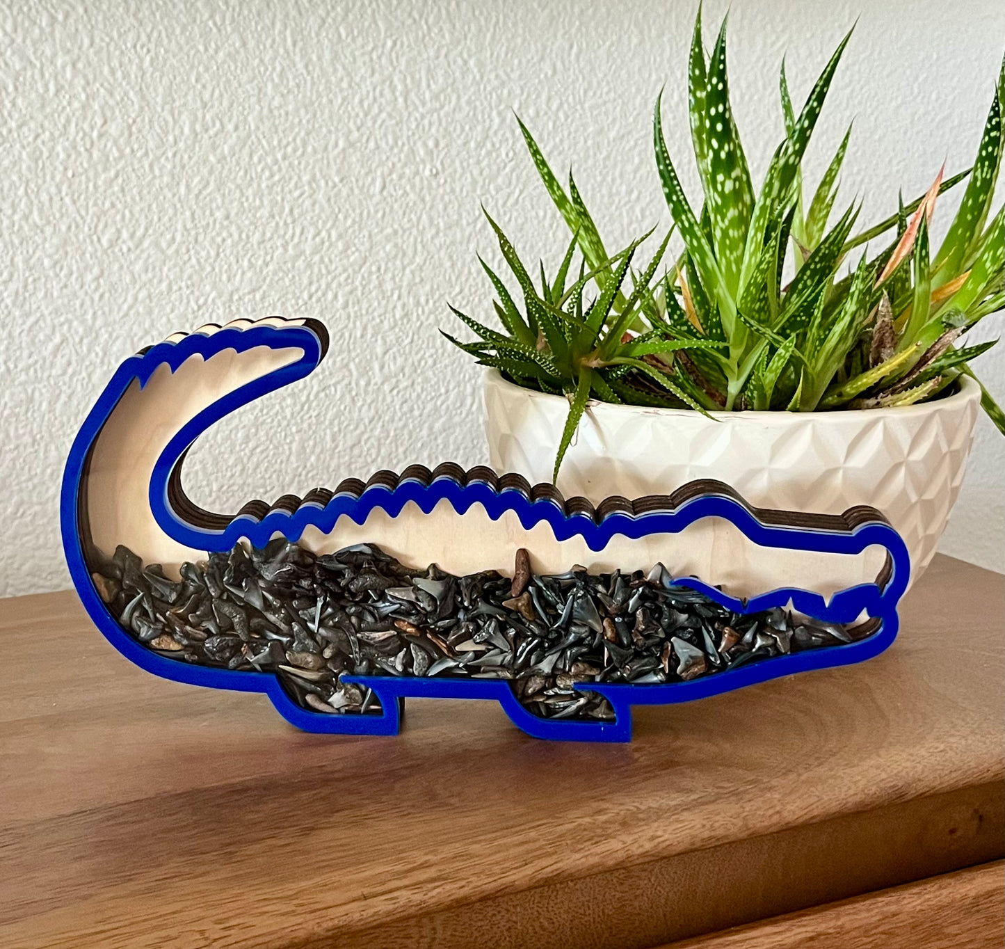 Chonky Gator - Blue Acrylic Finish - Shark Tooth Bank
