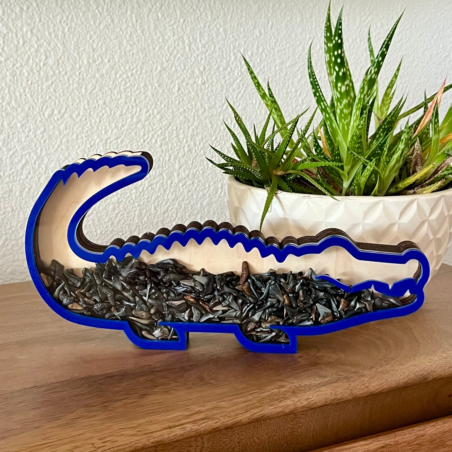 Classic Chonky Gator - Blue Acrylic - Shark Tooth Bank