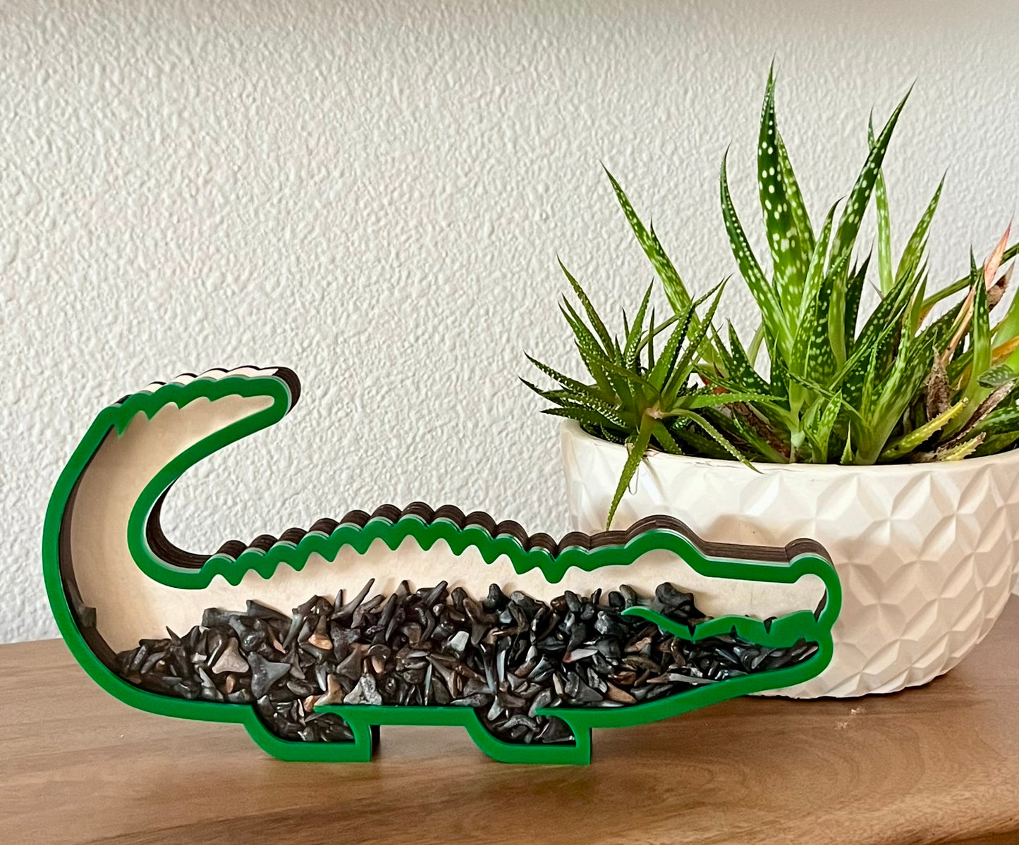 Chonky Gator - Green Acrylic Finish - Shark Tooth Bank