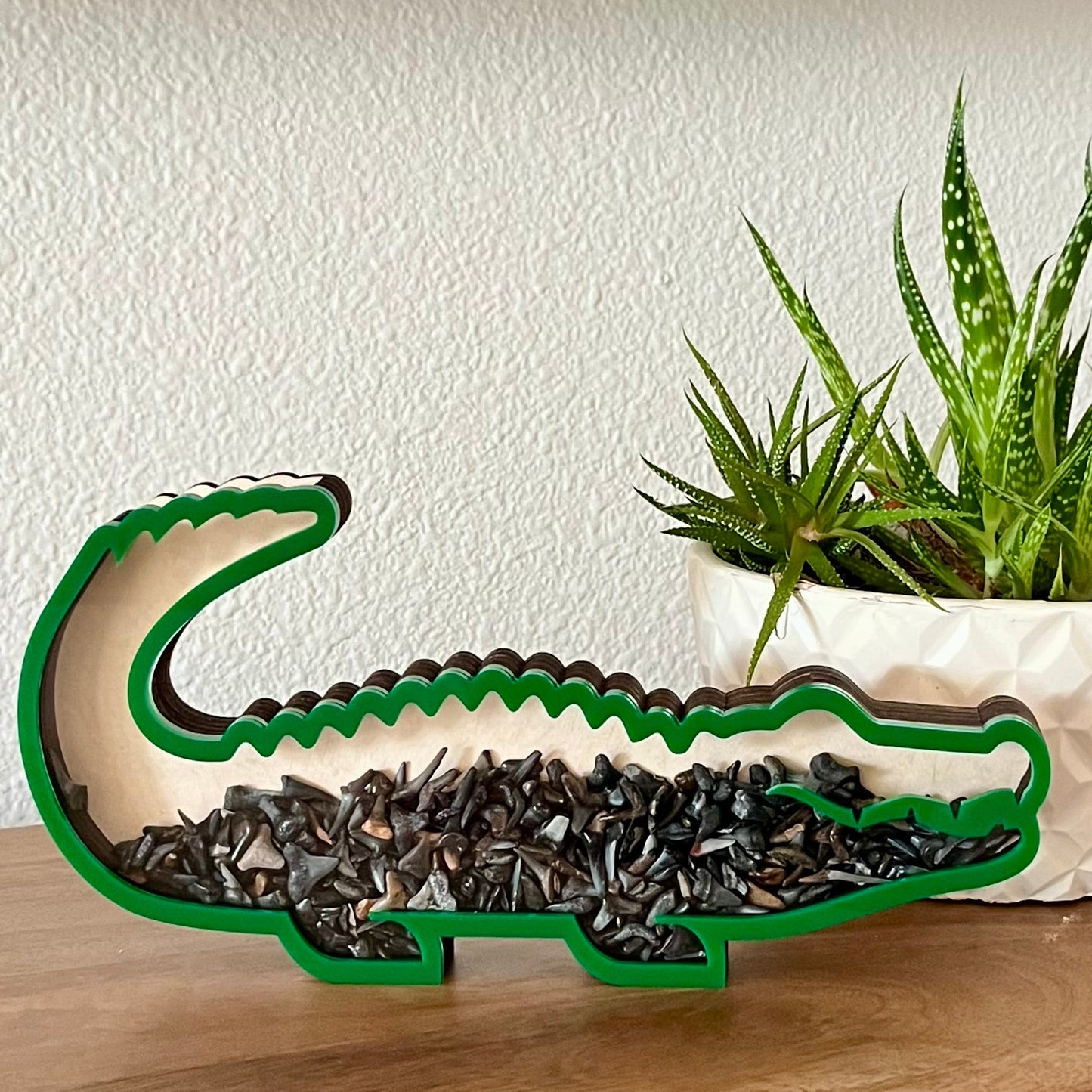 Alligator-shaped green shark tooth bank collector