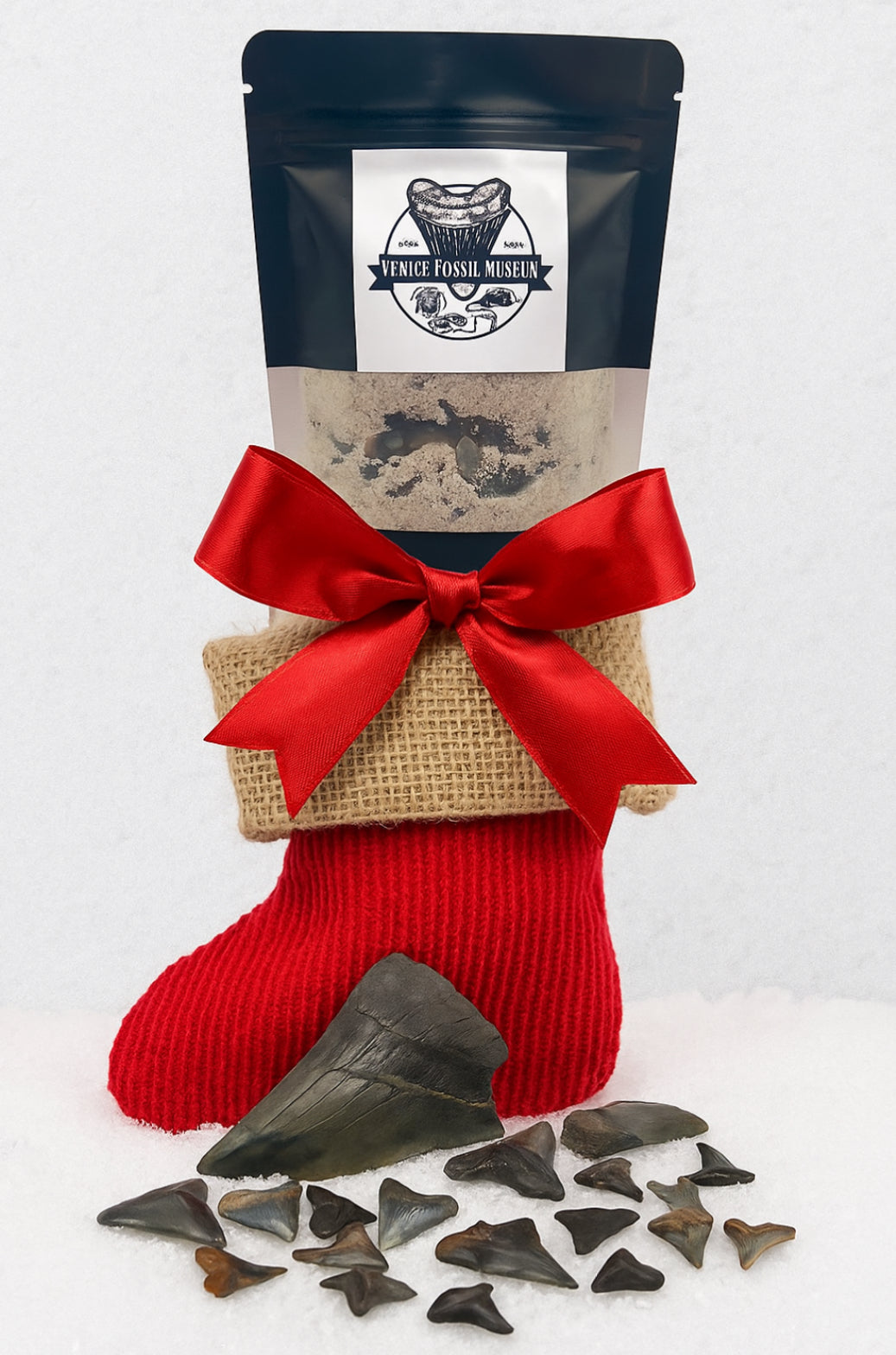 DIG AT HOME - Mini Florida Shark Tooth Dig