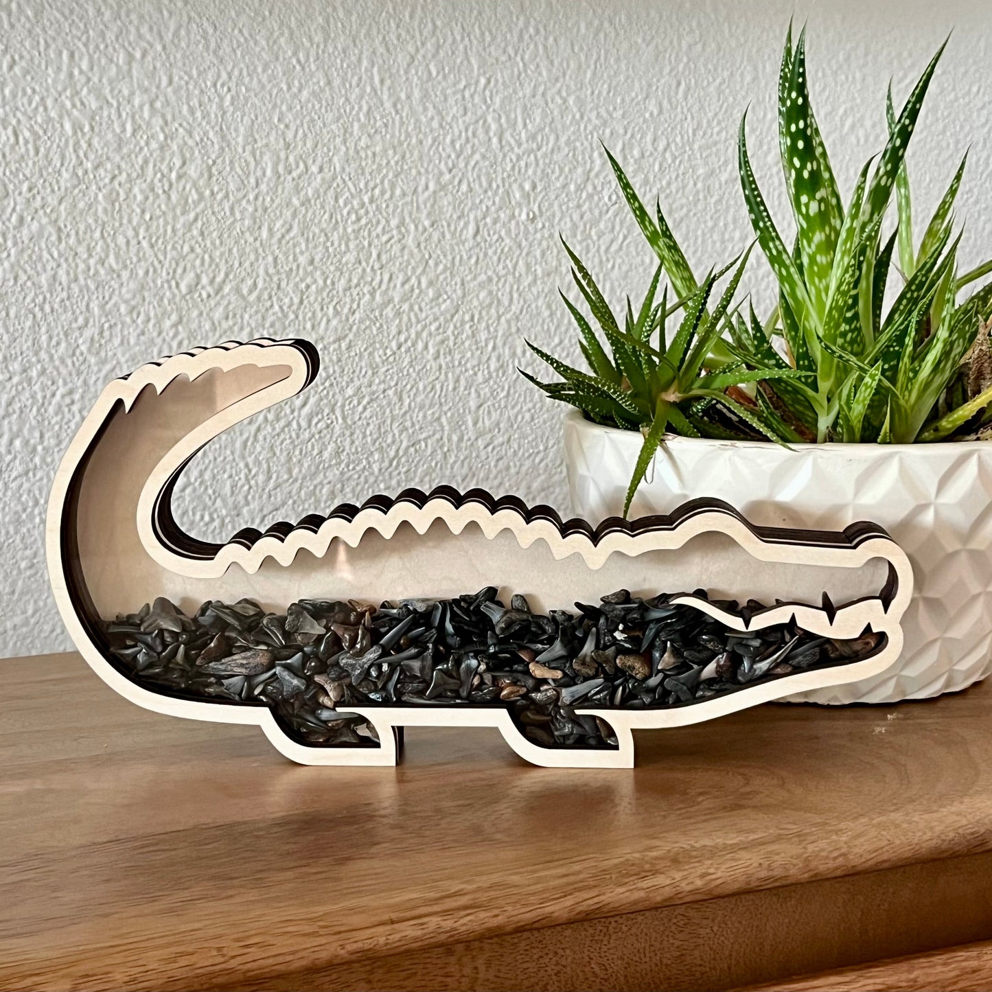 Classic Chonky Gator - Wood Finish - Shark Tooth Bank