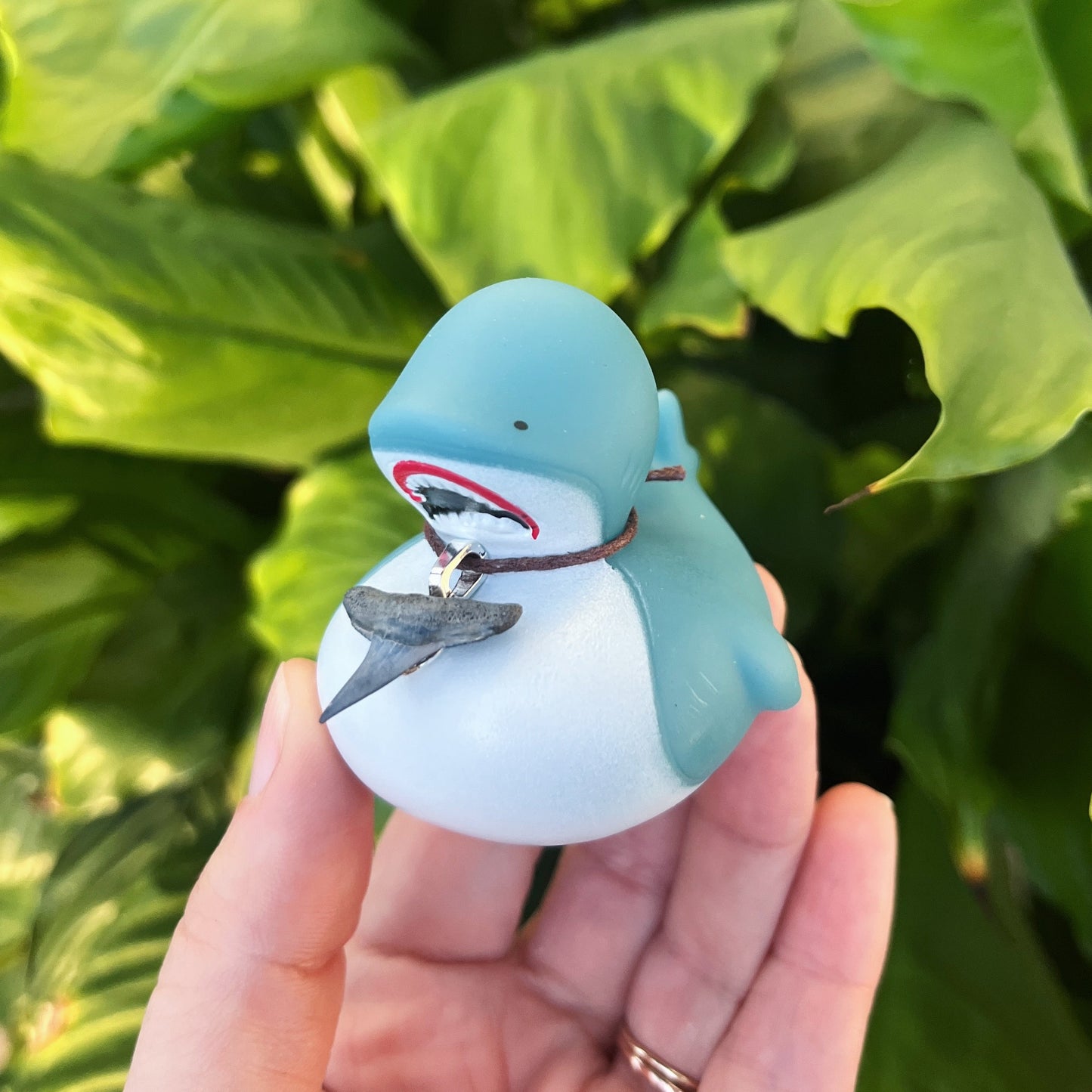New Shark Novelty Ducky - w/ cord Shark Tooth Necklace