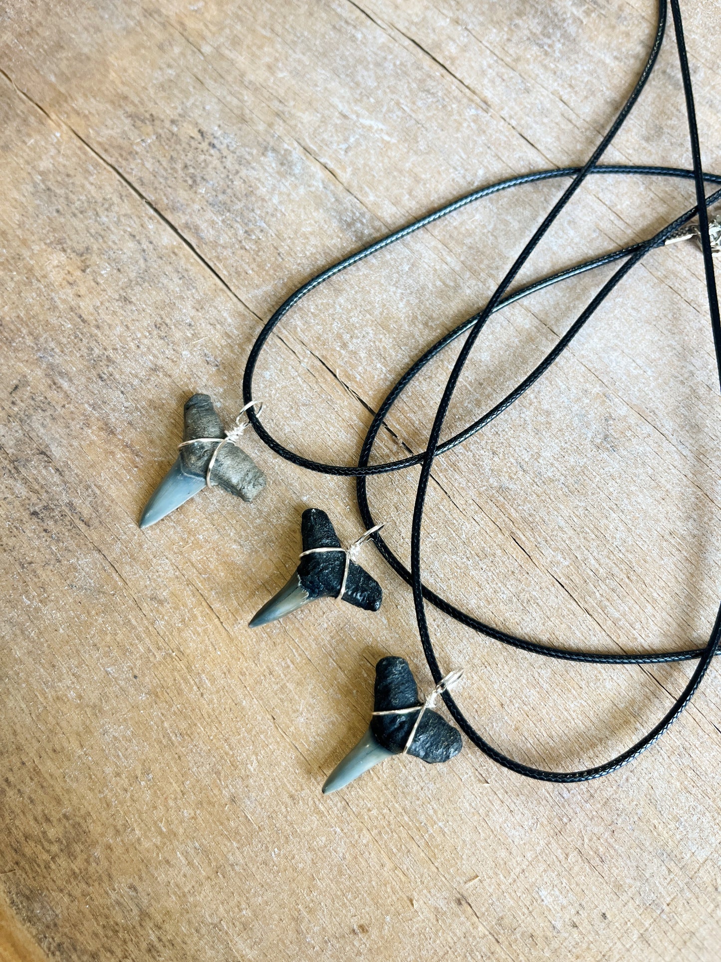 Black Cord Basic Shark Tooth Necklace