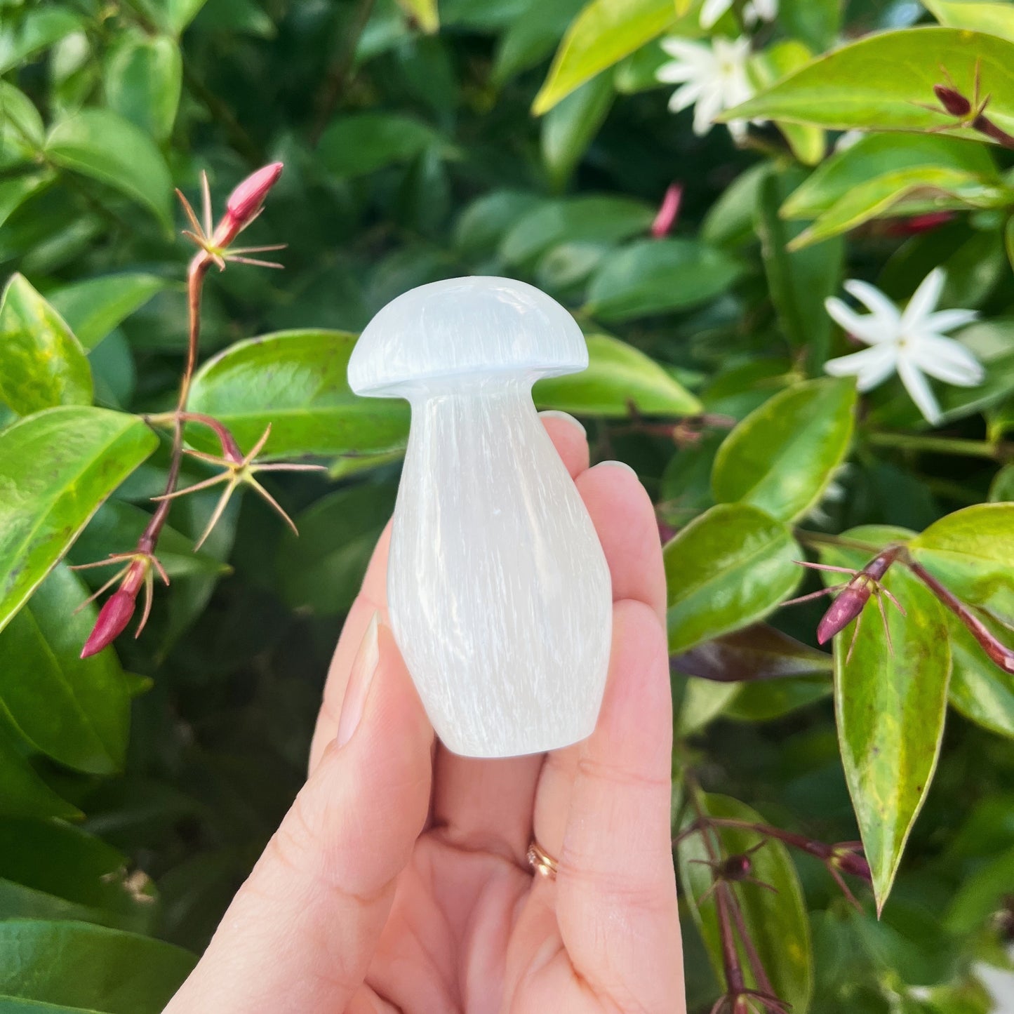 Satin Spar (Selenite) Mushrooms - 2.5”