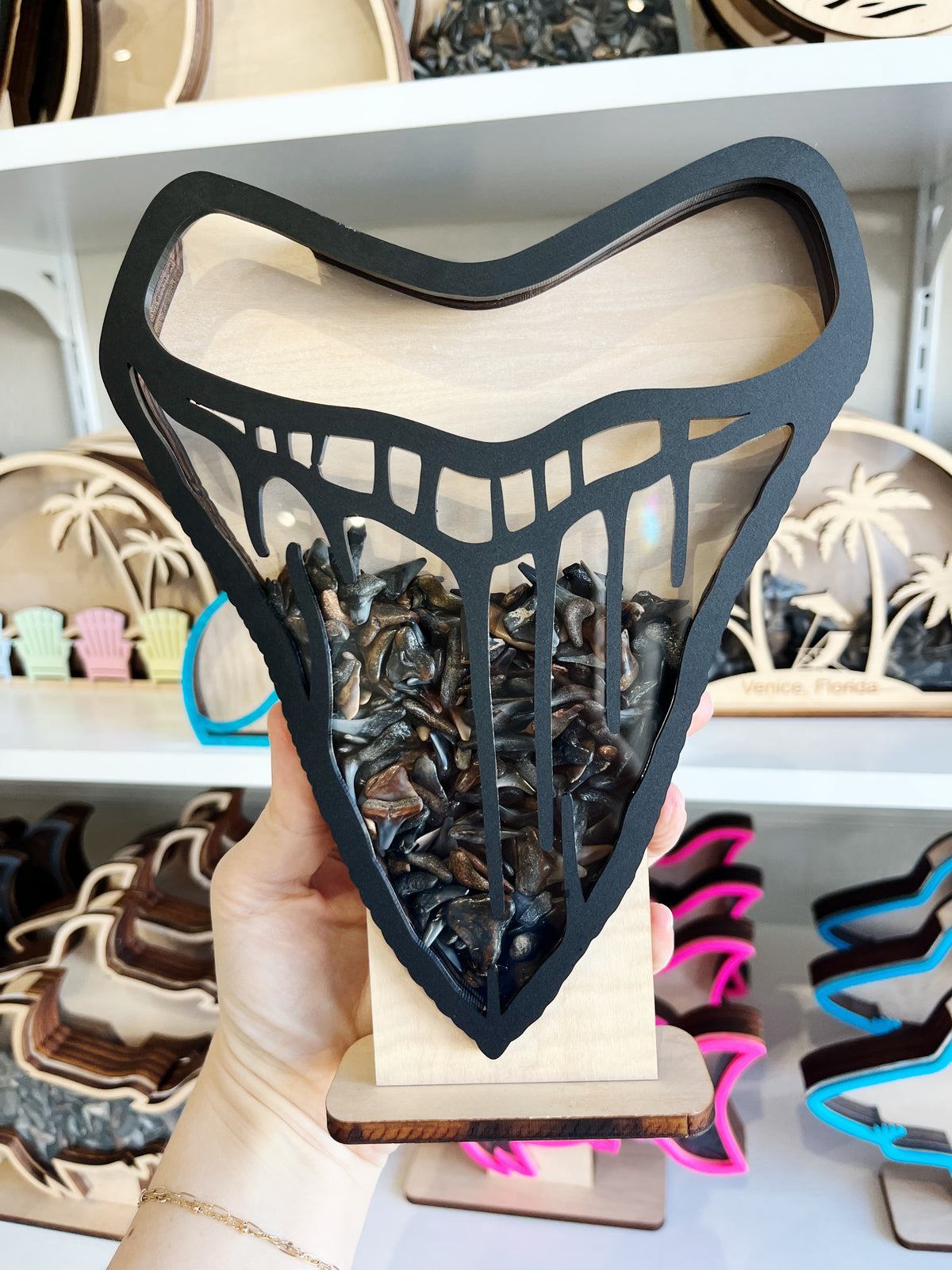 Classic Meg Tooth - Black Acrylic - Shark Tooth Bank