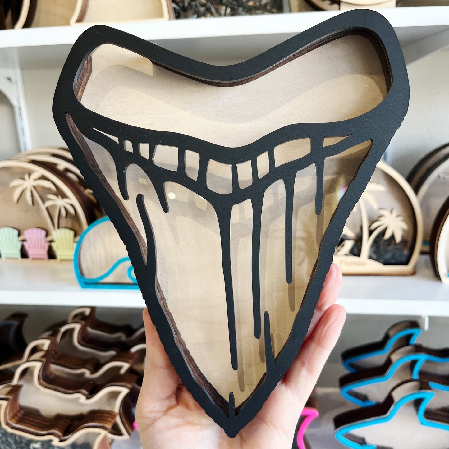 Classic Meg Tooth - Black Acrylic - Wall Hanging - Shark Tooth Bank