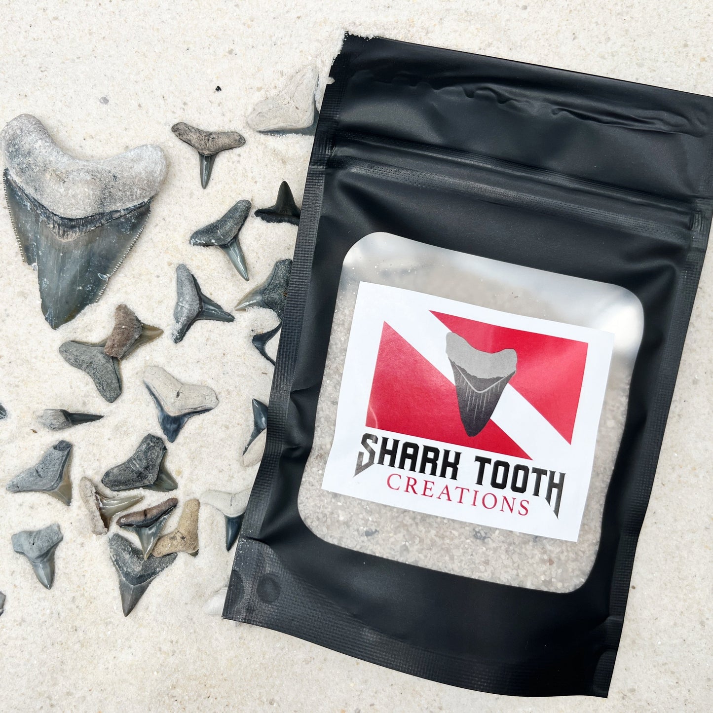 Dig at home kit for Shark Tooth