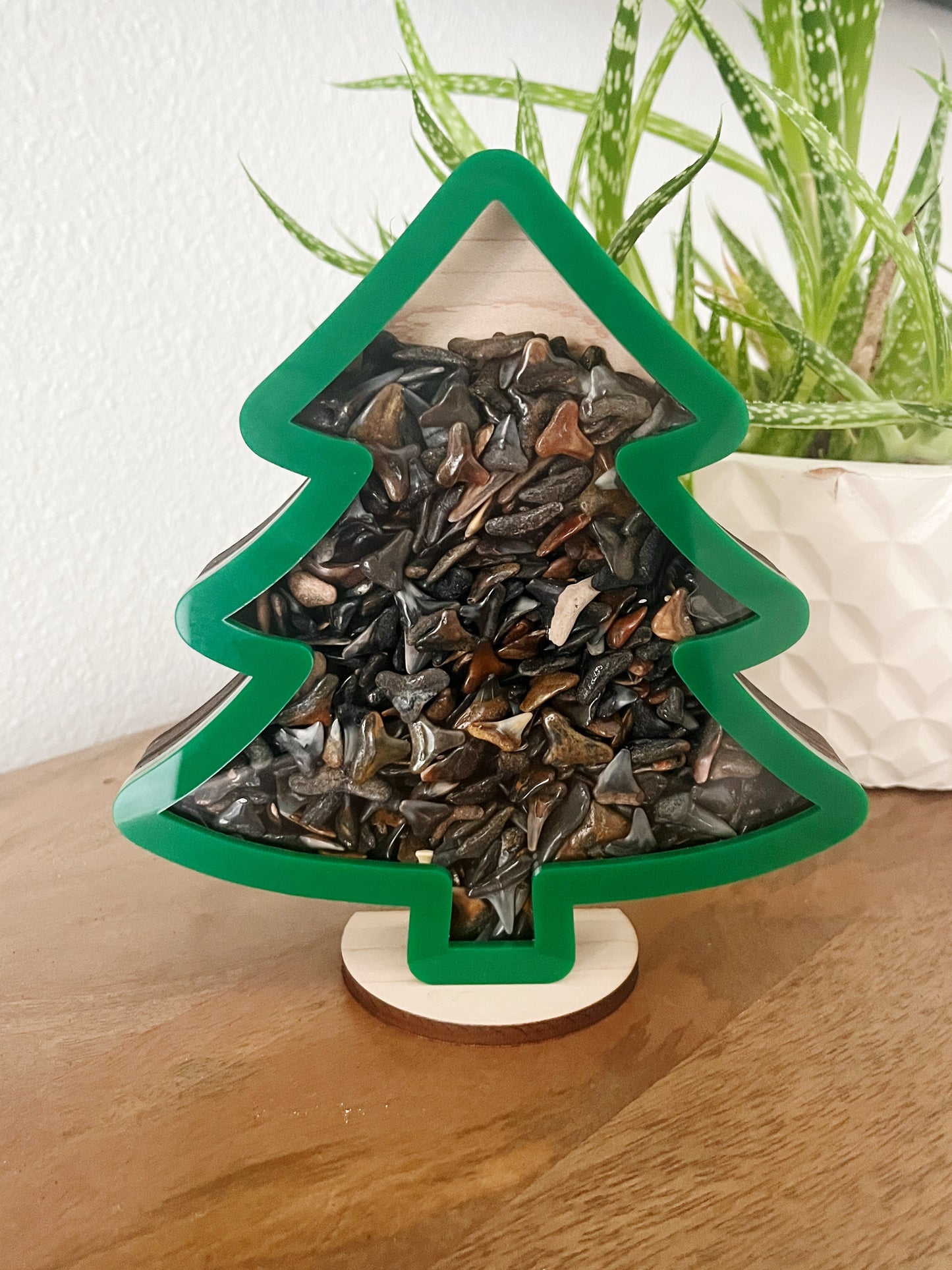 Classic Holiday Tree - Green Acrylic - Shark Tooth Bank