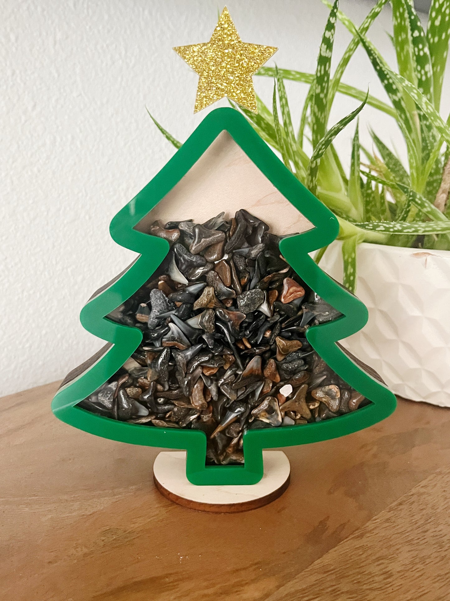 Classic Holiday Tree w/ Star - Green Acrylic - Shark Tooth Bank