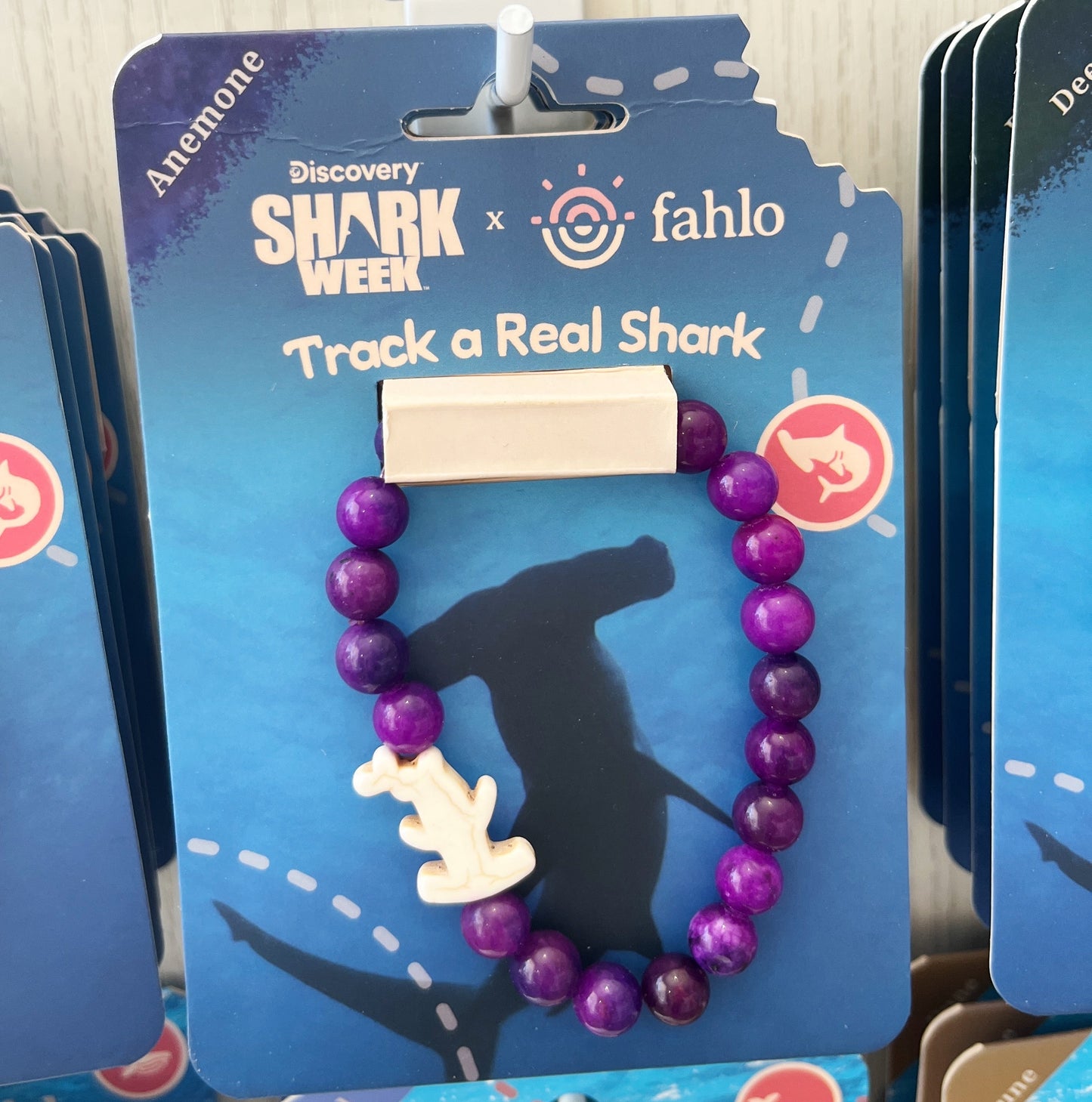 Special Edition Shark Week - Shark Bracelets