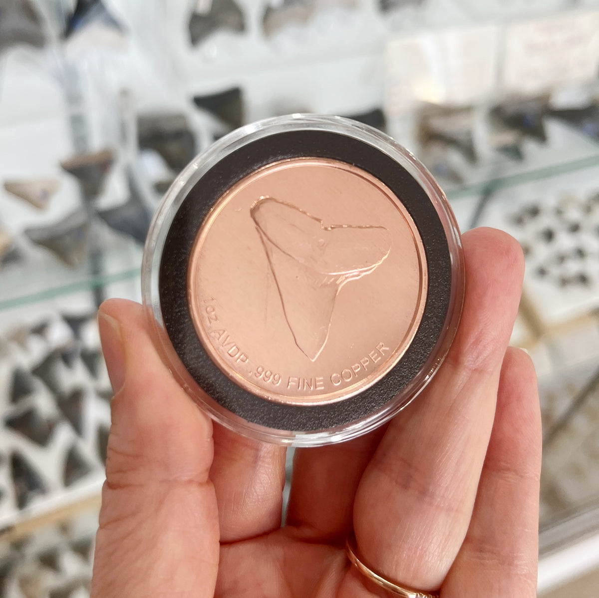 Copper Hammerhead Coin