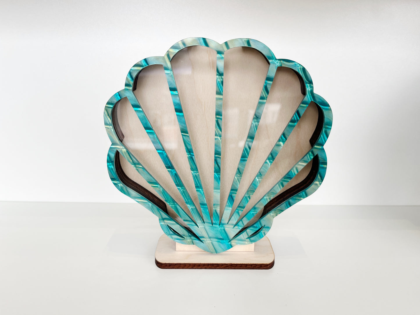 Shark Tooth Bank: Classic Sea Shell - Teal Acrylic
