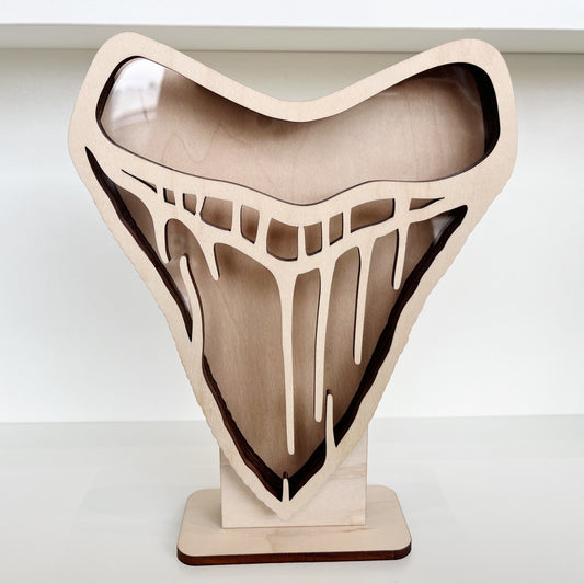 Shark Tooth Bank: Classic Meg Tooth Shape - Wood Finish