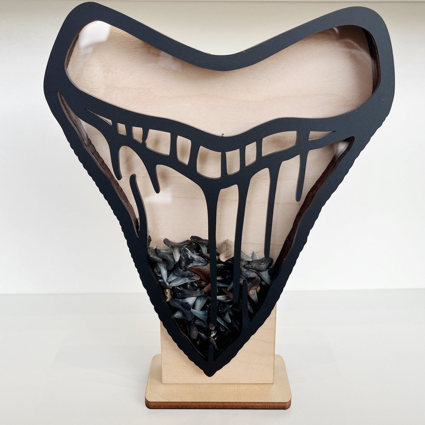 Classic Meg Tooth Shape - Black Acrylic - Shark Tooth Bank