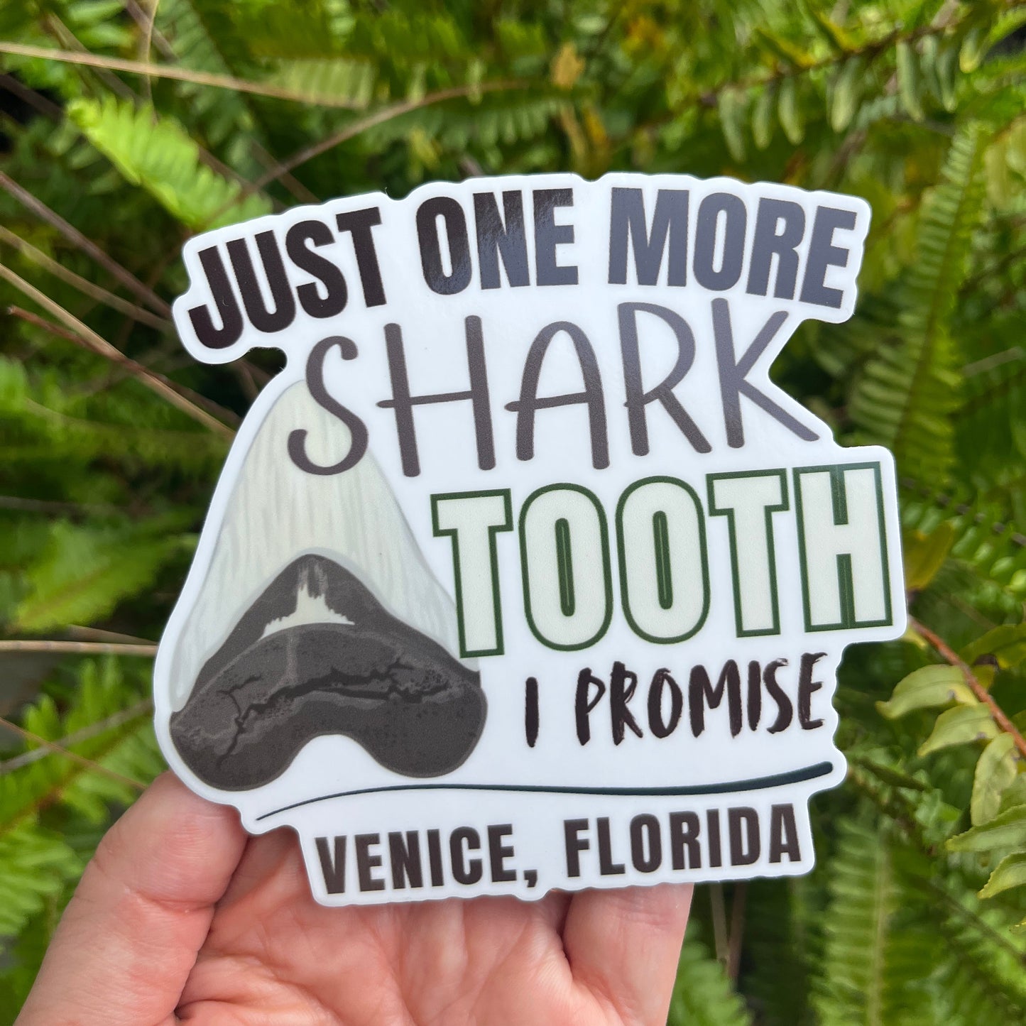 Sticker with text 'Just one more shark tooth, I promise, Venice, Florida' held in front of green foliage.