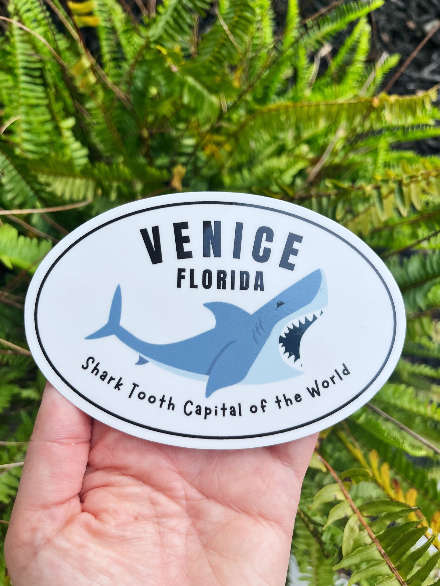 Venice Shark Tooth Capital Sticker - L
