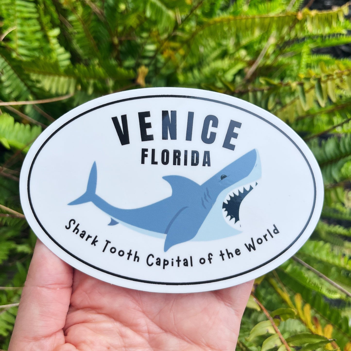 Sticker with shark design and text held in front of green ferns