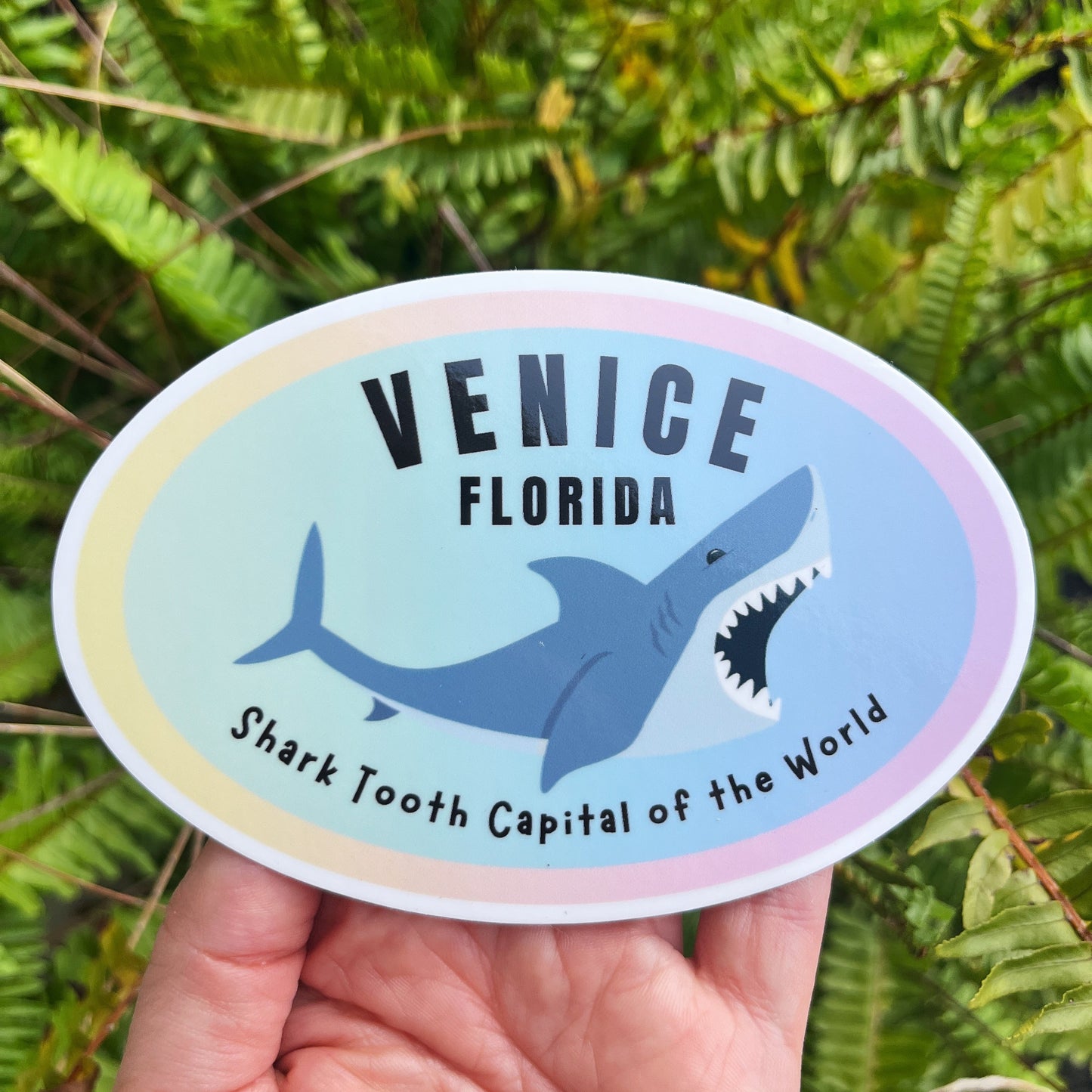 Sticker with shark design and text 'Venice Florida Shark Tooth Capital of the World' held over ferns.