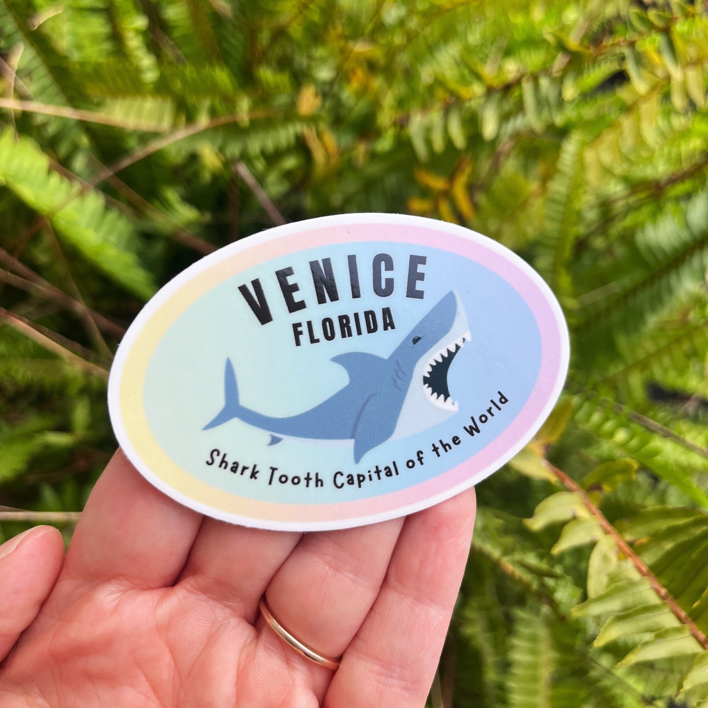 Sticker with 'Venice, Florida' and shark tooth text held in front of ferns
