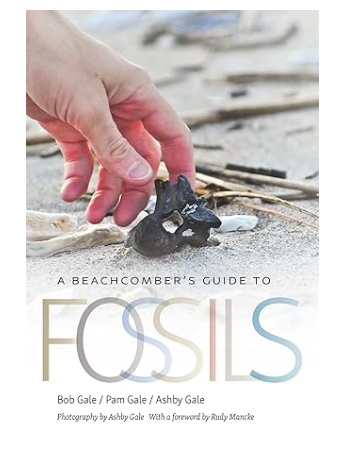 A Beachcombers Guide to Fossils