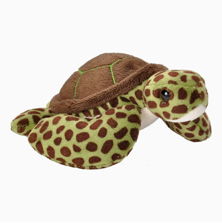 5" Green Sea Turtle Plush