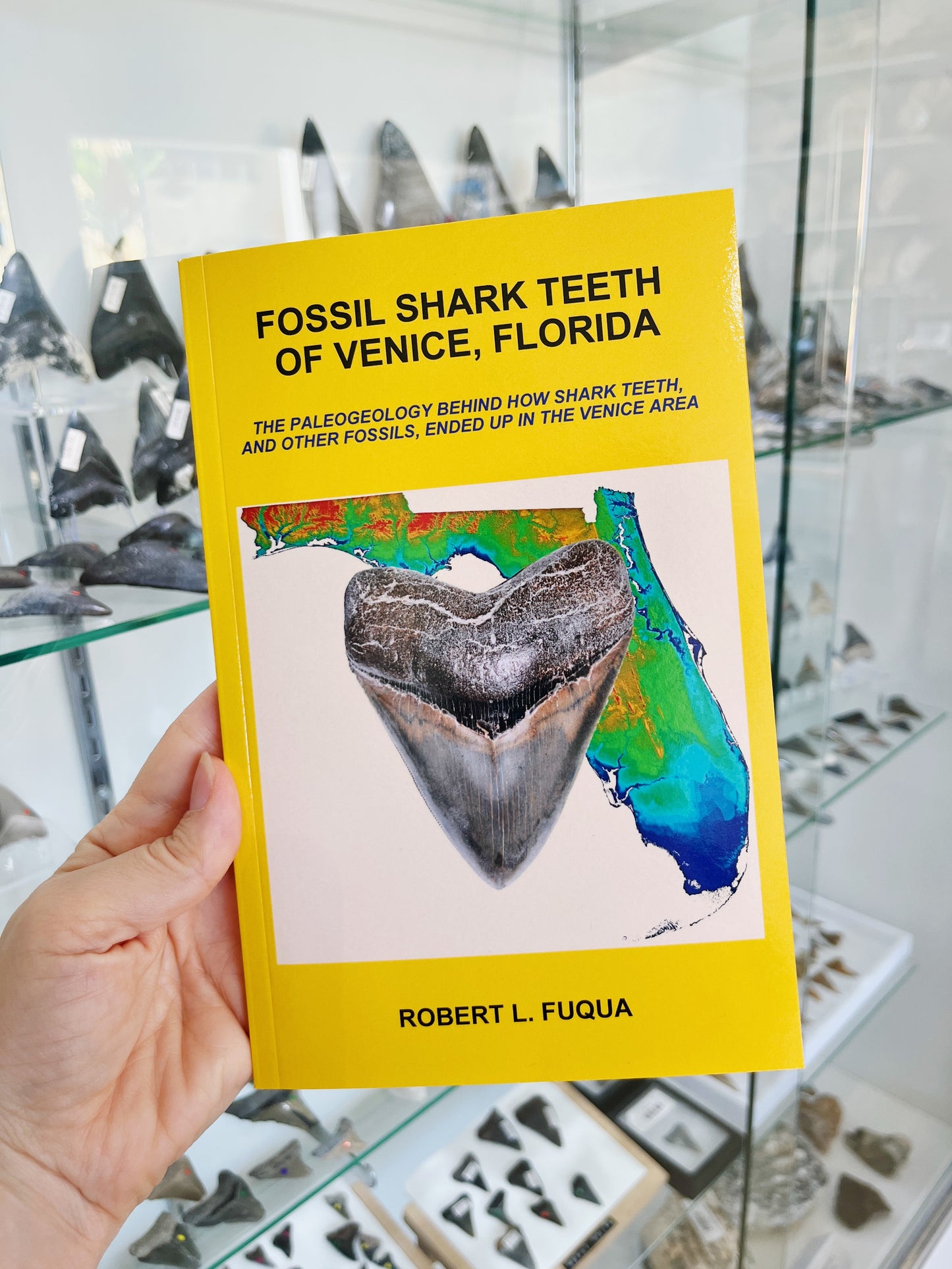 Fossil Shark Teeth of Venice, Florida: Signed by the Author