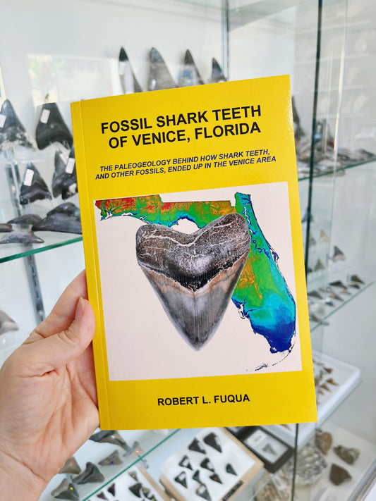 Fossil Shark Teeth of Venice, Florida: Signed by the Author