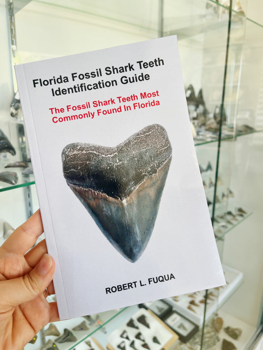 Florida Fossil Shark Teeth ID Guide: Signed by the Author
