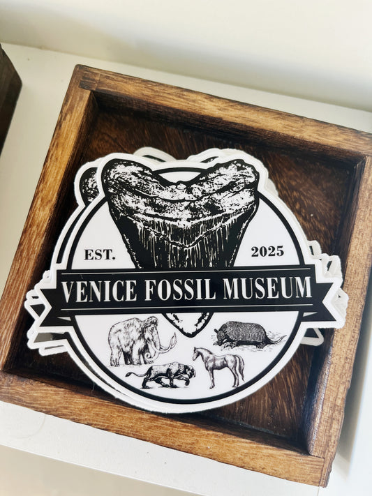 Venice Fossil Museum Sticker