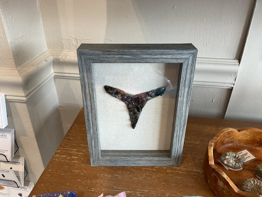 Shark Tooth Art - Lemon Shark