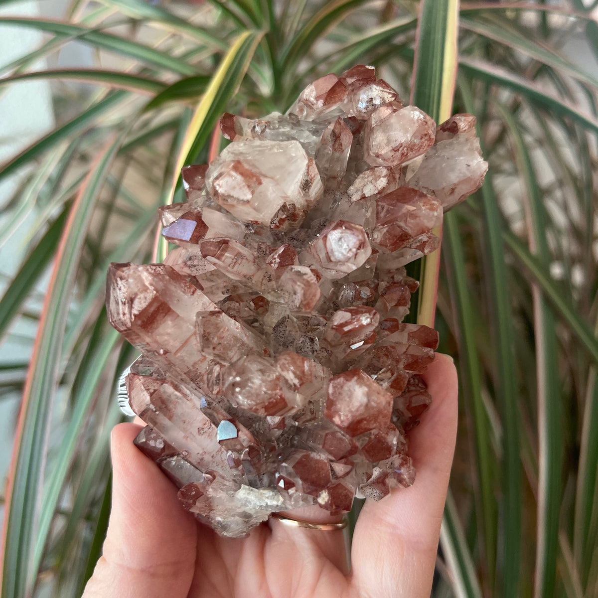 Red Hematite Quartz