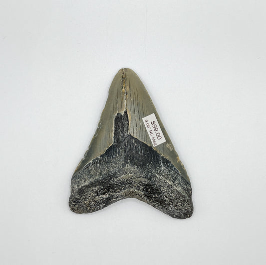 3.66” NC Meg