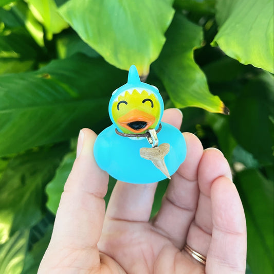 Baby Shark Novelty Ducky - w/ cord Shark Tooth Necklace