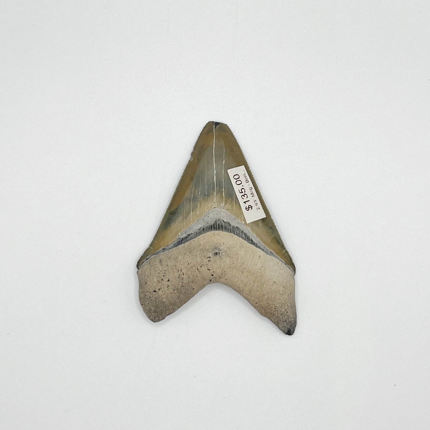 2.93” Meg - Bone Valley