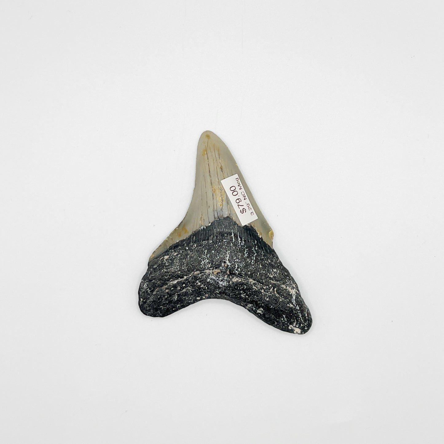 3.29” NC Meg