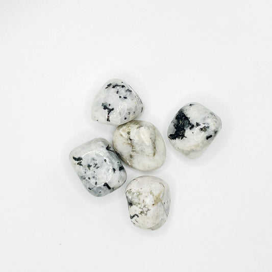 Rainbow Moonstone - Tumbled - (Each Piece)