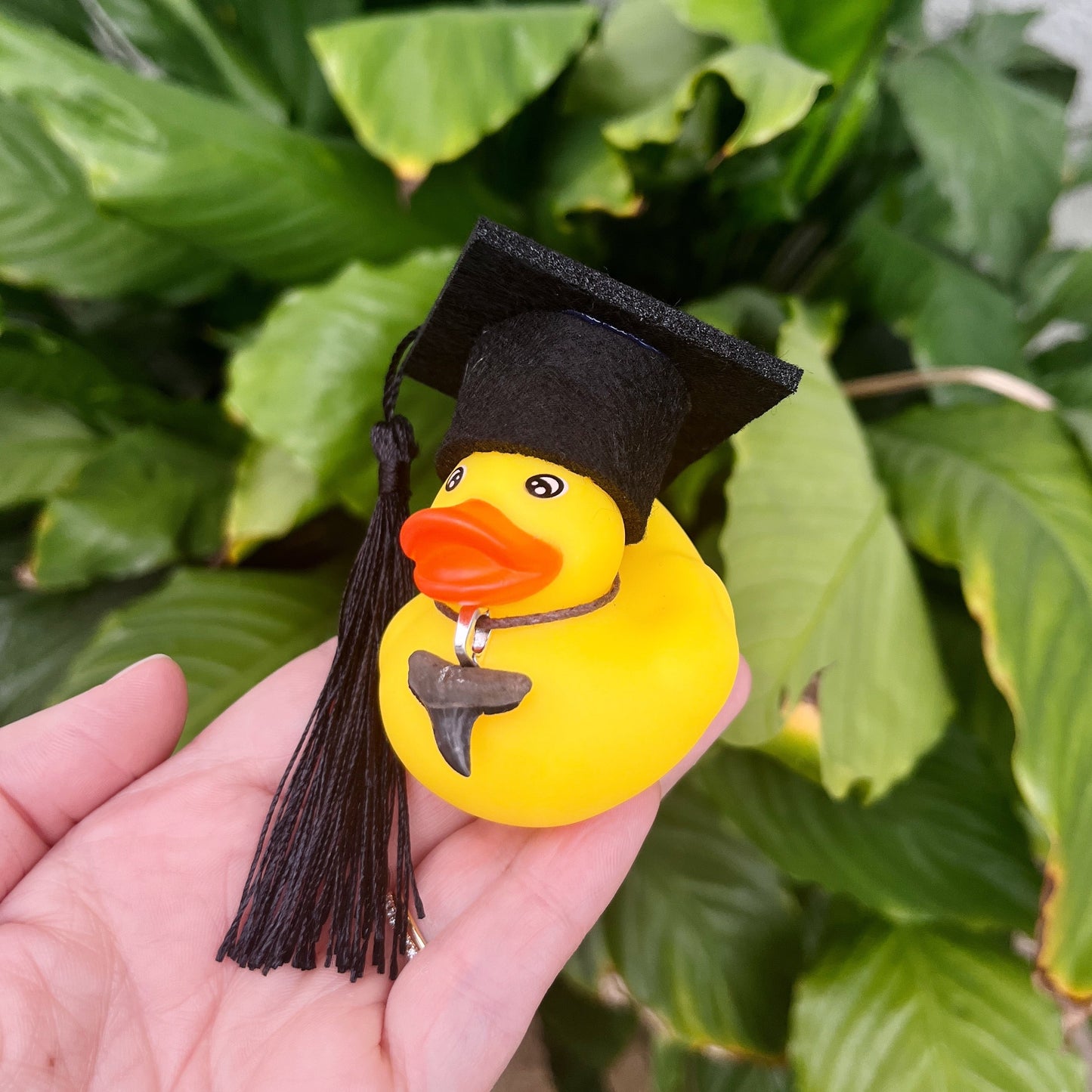 Graduation Shark Novelty Ducky - w/ cord Shark Tooth Necklace