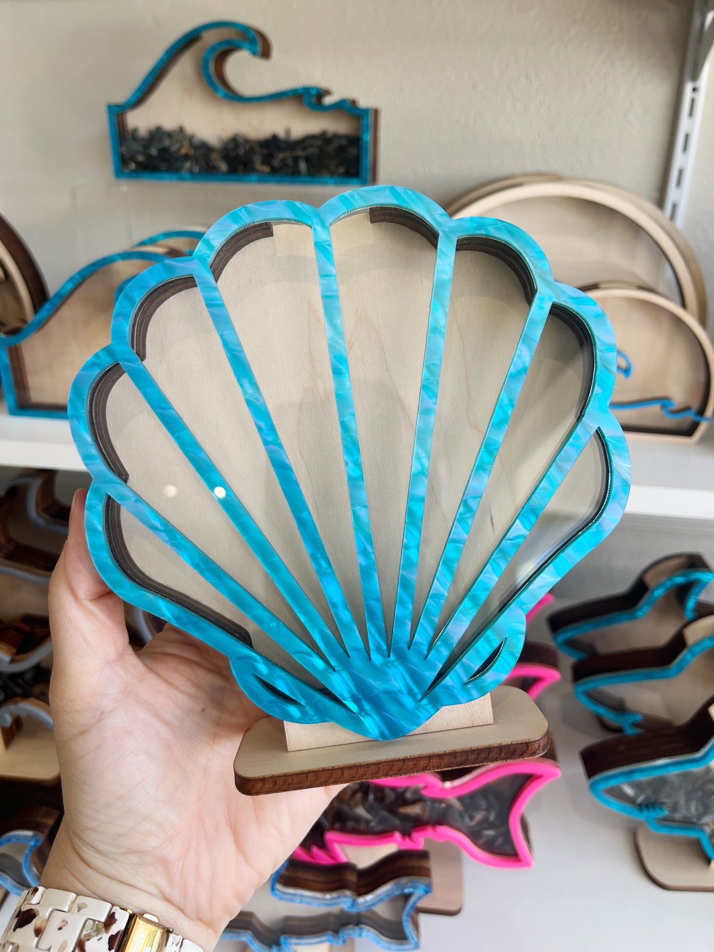 2026 Festival Special -Classic Shell - Blue Acrylic - Shark Tooth Bank