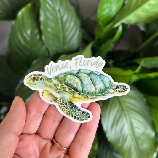 Turtle Venice Sticker