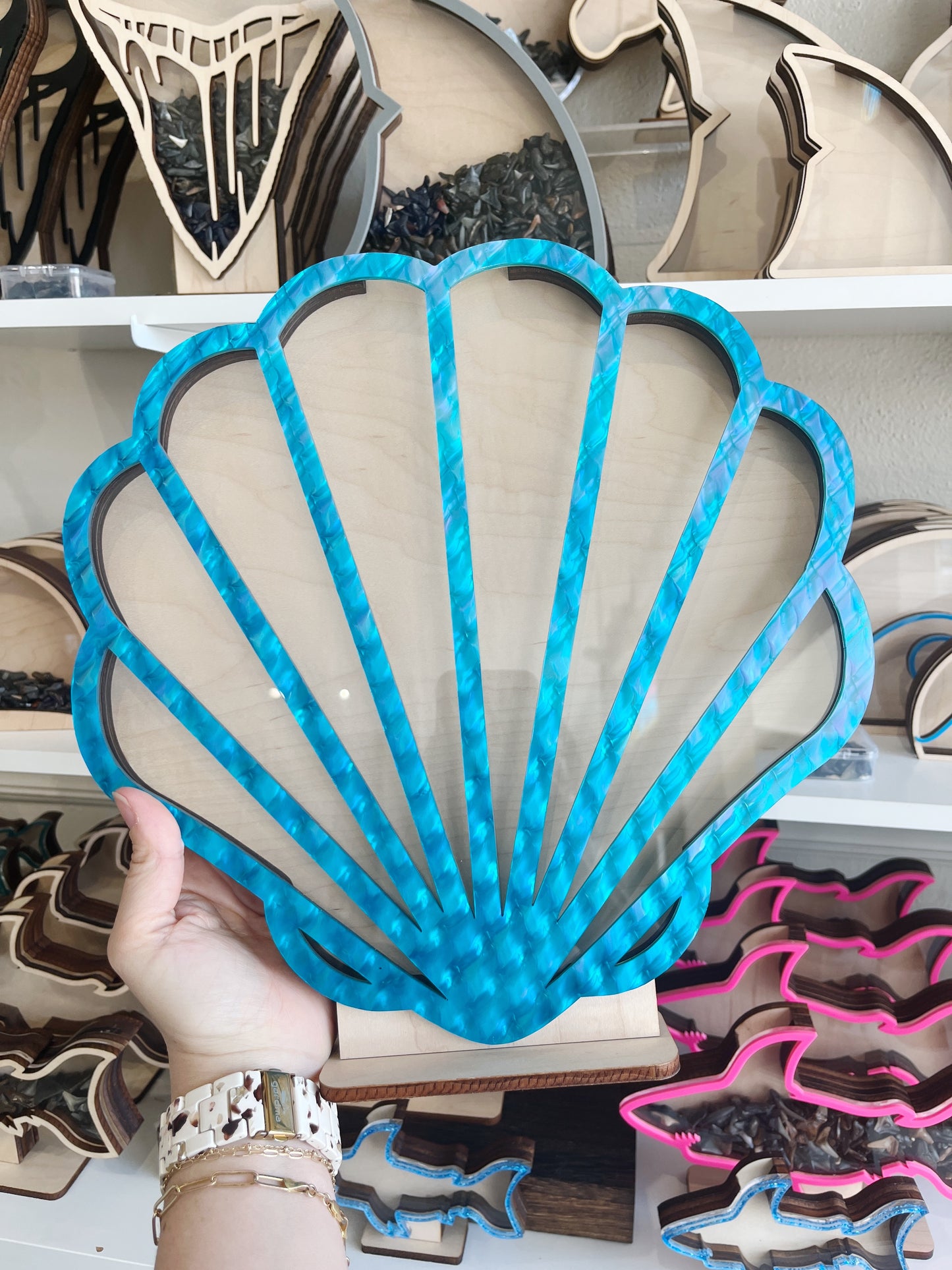 2026 Festival Special - Large Shell - Blue Acrylic - Shark Tooth Bank