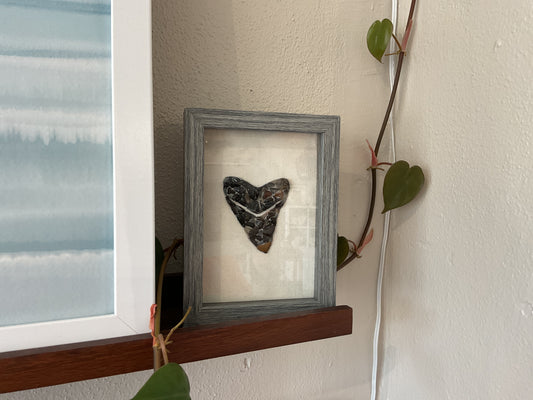 Shark Tooth Art - Megalodon