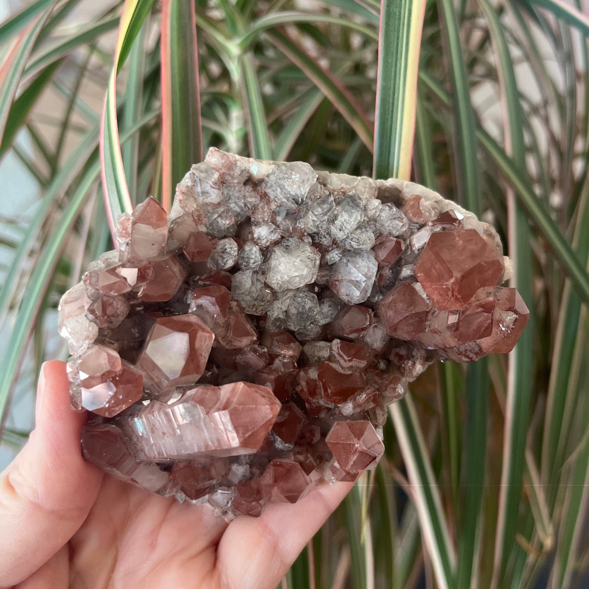 Red Hematite Quartz